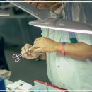 스마일디치과의원 | 신사역 치과, 꼭 알아야 할 필수 정보 총정리!