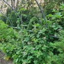 동트는농원 이미지