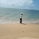 땅끝마을 이미지