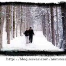 명수목장 이미지