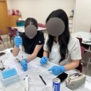 고림고등학교 | 학교 주변의 식물은 항산화 효과가 있는지 알아보자! [DPPH Assay / 25.7.10 용인시 고림고등학교]