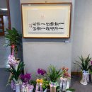 플레르드모닉