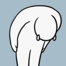 트라이핏 이미지