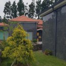 하천리-1 이미지