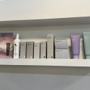 살롱드메르시