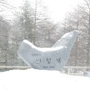 2024.2.21.만항재 이미지