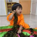 충남보육교구교육사 | 아이 첫 사회생활이 걱정된다면 부춘동어린이집 롯데도토리의 따뜻한 보육 철학을 소개해요