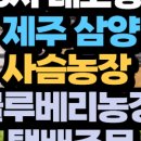 블루베리사슴농장 이미지