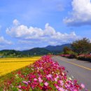 노동3리 이미지