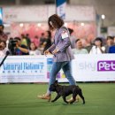 Jena house 이미지