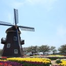순천만 우리 이미지