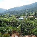 봉수면사무소 이미지