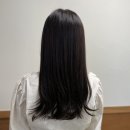 청담동 미용실, 살롱드플로리 차분한 애쉬 브라운 후기