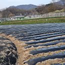 봄뜰에농장 이미지