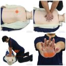 지니핏 피티짐 이미지