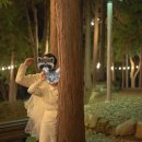 (주)티비소프트 | [30-35주차 임신후기증상] 임산부 왁싱, 만삭촬영, 만삭여행, 임신축하박스