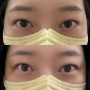 그리마눈썹;네일 | 은평구 그리마 눈썹네일에서 속눈썹펌 & 블랙틴팅 받고 온 후기
