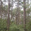 용강초등학교 이미지