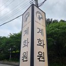 한화제약(주) | 가평 아침고요수목원 맛집 숯불닭갈비 전문점 계화원