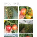 숙희농장 이미지