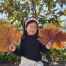 꿈내리어린이집 이미지