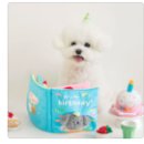 하우에버 포우에버 이미지