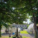19개월 아기랑 첫 캠핑⛺ 제주 노꼬메 펜션 캠핑장 후기| 아이 뛰어놀기 최고 | 아이, 강아지 모두 행복...