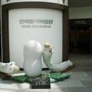 한국잠사박물관 이미지