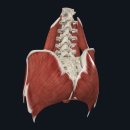 열린경희한의원 이미지