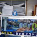 창주상회