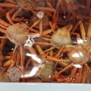 후포항 수산 이미지