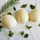세지 | 천안수신멜론 머스크멜론 홈런스타 백자멜론 세지 칸탈로프 하미과 구매자들의 진짜 후기들만 모았습니다
