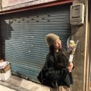 둥글리다 이미지