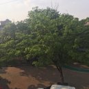 구진벌공원 이미지