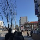 동원주유소 | [인천/계산] 장원영이 샤라웃한 인천 '팔레트디저트' 두쫀쿠 웨이팅 시간별 정리 및 내돈내산 후기