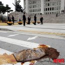 21세기 중앙의원 이미지