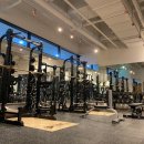 더헬스 앤 피티 이미지