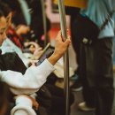 스타일펫츠 이미지