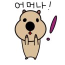 콩집와플 네이버블로그