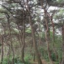 분토마을회관 | 금북정맥 08구간 청양 국사봉(國師峰 489) 210710