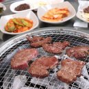 초원정육점 식당 이미지