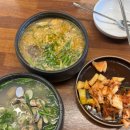 산내들민박2 | 202604_3[뜨라레모듬짬뽕, 사르르목장, 예스힐링민박, 제비집 손칼국수, 한탄강y자출렁다리]