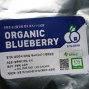 병화 농장 이미지