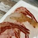 울릉도꽃새우 이미지