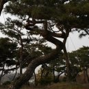 금마3농장 이미지