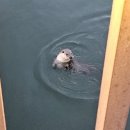 반월 기호일보