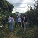 두두농장 이미지