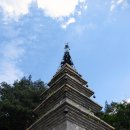 황범식 카카오 검색결과