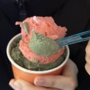 젤라또당 | [인천] 주안 젤라또 맛집 ‘젤라또당’ 맛종류 메뉴 가격 후기