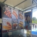 남조로사려니숲길 앞 이미지